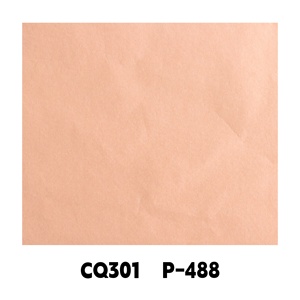 17gsm <strong>Orange</strong> Colored <strong>Paper</strong> Factory Wholesale High Quality Gift Flower Clothes Shoes Wrapping Packaging Colored Tissue <strong>Paper</strong> - Product Image 3