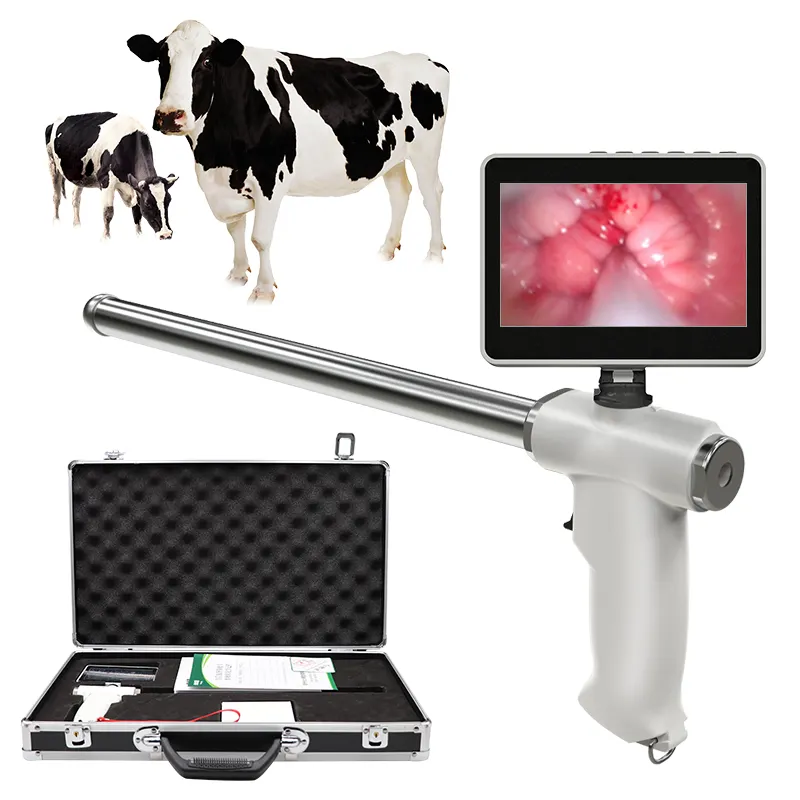 Appareil d'incrémentation artificielle pour vache, Endoscope visuel, pistolet à spermatologie pour bétail, élevage vétérinaire, outils d'examen de la grossesse