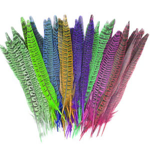 Plumes Haute Couture | Plumes <span class=keywords><strong>de</strong></span> cuivre prêtes pour la piste pour les maisons <span class=keywords><strong>de</strong></span> design - Product Image 1