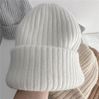 Hoge kwaliteit op maat gemaakte logo cartoon/figuur/fruit patroon gevoerde beanie muts met oorbescherming unisex volwassenen