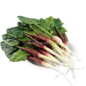 Mall Display Props Artificial Spinach and Simulated Fruit Vegetable Decoration Polyfoam Crafts for Stylish Display