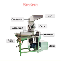 Commerciële papaja-sinaasappelsap-passievruchtenpulp persmachine, sapproductiemachine, extractor voor het maken van fruitsap