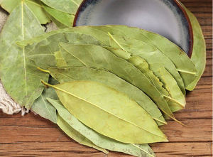 ZZH 100% feuilles <span class=keywords><strong>de</strong></span> baies naturelles, feuilles d'herbes, feuilles <span class=keywords><strong>de</strong></span> <span class=keywords><strong>laurier</strong></span> turc - Product Image 3