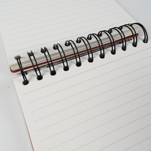 Có thể tái chế A5 B5 dây ràng buộc máy tính xách tay 0.75 mét <span class=keywords><strong>PP</strong></span> Bìa Ba bên trong trang lót lưới trống biểu tượng tùy chỉnh in ấn mịn bằng văn bản - Product Image 4