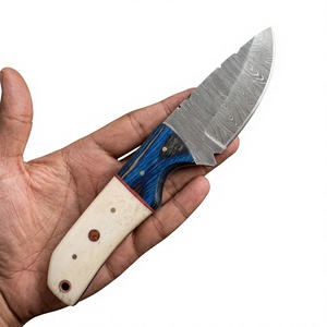 Cuchillos Rajput Forjados de Acero de Damasco con Hoja Fija Tipo Drop Point, Cuchillo de Supervivencia con Mango de Madera Pakka Azul, Garantía de 3 Años - DIY - Product Image 1
