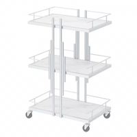 Chariot de rangement commercial SW Casual Beauty moderne en acier inoxydable à 4 roues, écologique, rotation à 360 degrés, pour salon