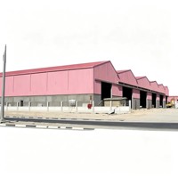 Almacenes Modernos de Estructura de Acero Ligero y Edificios de Acero Pre-fabricados con Soluciones de Viviendas de Acero Fabricadas