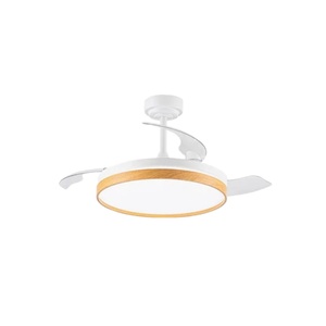 Modern ceiling fan <b>chandelier</b> 48-inch invisible telescopic fan with <b>light</b> and remote control ventilation system - Product Image 1