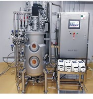 Biorreactor Automático Personalizado para Células de Mamíferos con Modelo BLBIO-SCUC, con Recipiente a Presión y Bomba para Cultivo de Células de Plantas y Algas