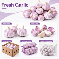 Ail frais à peau violette, naturel chinois, emballage personnalisé OEM, vente en gros en vrac, marque privée, carton et sac en filet sur mesure