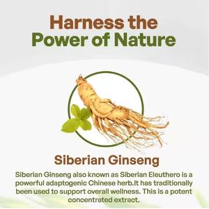 Yüksek kalite 0.8% Eleutherosides Ginsenoside sibirya <span class=keywords><strong>Ginseng</strong></span> özü Panax <span class=keywords><strong>Ginseng</strong></span> tozu - Product Image 6