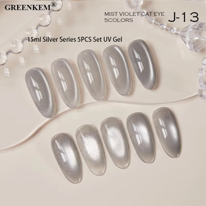 Ensemble 5 pièces de vernis à ongles gel UV série <span class=keywords><strong>argent</strong></span>ée de 15ml pour toutes les saisons vernis à ongles gel œil de chat vente en gros étincelant et durable - Product Image 5