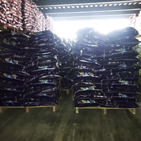 GAMA distributor deterjen laundry industri bubuk cuci poudre kelas berbeda dan parfum