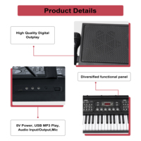 BD MUSIC BD-669 Portable Electronic Organ Digital Piano 61 Keys Keyboard Musical Instruments for Wholesale