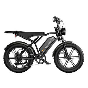 Meilleur prix pour vélo électrique 500w 750w 1000W 1200w, vélo électrique pour jeunes - Product Image 5