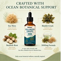 Complément Liquide Kelaen Sea Moss Drops 3000mg Formule Océanique Gouttes Botaniques pour le Bien-être Quotidien