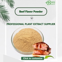 Food Spice Beef Flavor Seasoning Bouillon Powder for Soup