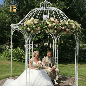 Véranda extérieure en fer forgé avec structure en acier, motifs floraux forgés, <span class=keywords><strong>abri</strong></span> de jardin de style européen pour villa. - Product Image 3