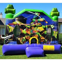 Castillo Inflable Gigante de las Tortugas Ninja para Adultos en Venta