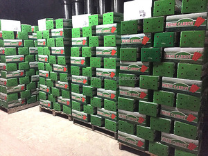 निर्यात के लिए स्थिर गुणवत्ता के साथ कार्टन में ताजा गाजर - Product Image 6