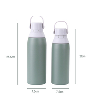 Bouteille de sport en acier inoxydable 304 de qualité alimentaire avec logo personnalisé, poignée et couvercle à paille pour camping et randonnée en extérieur – Vente en gros
