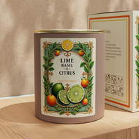A08M Offre Spéciale Bougie cadeau en cire de soja parfumée au citron vert et aux agrumes avec couvercle en métal et étiquette personnalisée personnellement