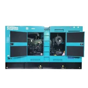Générateur diesel de refroidissement par eau de Grupo Electrogeno de 300 KVA avec Cummins 250kw pour l'urgence d'hôtel d'hôpital