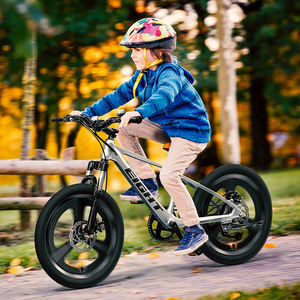 2025 plus élégant <span class=keywords><strong>Mag</strong></span> cadre jeunesse vtt vélo mignon ruban noir Orange ordinaire pédale frein à disque en alliage d'aluminium fourche vélo pour enfants - Product Image 2