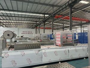 Uitstekende Kwaliteit Industriële Thermovormende Vacuümverpakkingsmachine Voor Vlees - Product Image 6
