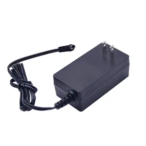 US Standard Pillow Set-top Box Lamp Monitoring Switch Toy Car Charger 12v 4a 48W Dc Ac Power Adapter