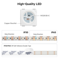 BTF LIGHTING, Cada Circuito Integrado Controla Una Tira de Luces LED 5050 SMD RGBIC de 60 LED, Direccionables Individualmente, DC24V