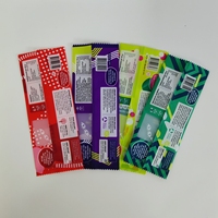 Sac en papier kraft biodégradable imprimé personnalisé sacs d'emballage de popsicle glacé sac de joint arrière en papier d'aluminium