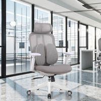 Fauteuil de direction ergonomique moderne en maille intégrale de luxe, de haute qualité, vente en gros d'usine, avec soutien lombaire auto-ajustable