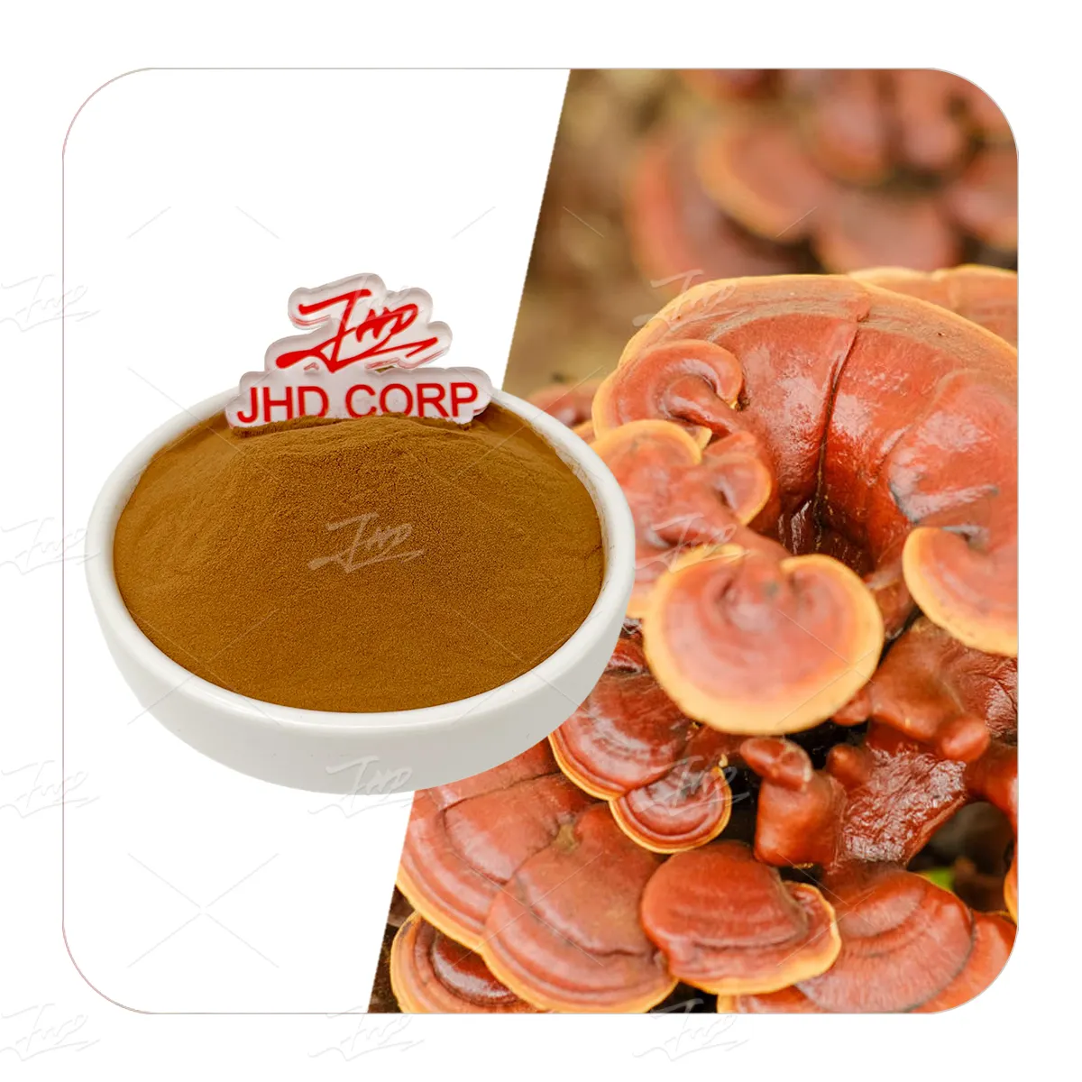 JHD 30% polysaccharide organik Ganoderma Lucidum ekstrak Jamur Reishi bubuk