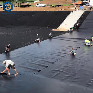 <span class=keywords><strong>BPM</strong></span> Geosintéticos Geomembrana Plástico HDPE Negro Rollos 1500 Micron Geomembrana - Product Image 6