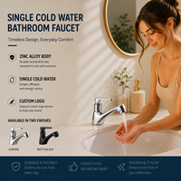 Robinet de lavabo en alliage de zinc pour commande en gros, eau froide, haute qualité, finition électrolytique