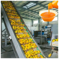Topkwaliteit Mango Productielijn Puree Machine