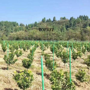 การสนับสนุนเสาวรสโรงเก็บผักท่อไฟเบอร์กลาสไฟเบอร์ - Product Image 4