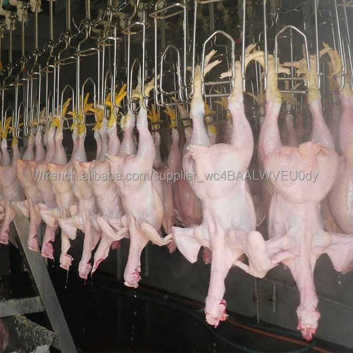 Machine D'équipement de Volaille Traitement Cueillette À Vendre Viande Plumeuse Abattoir L'éviscération Table Plume Halal D'abattage De Poulet