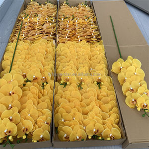 <span class=keywords><strong>Orchidée</strong></span> <span class=keywords><strong>Phalaenopsis</strong></span> <span class=keywords><strong>jaune</strong></span> haut de gamme en latex B-802, fleurs au toucher réel, <span class=keywords><strong>tige</strong></span> unique, 9 têtes, grande branche d'<span class=keywords><strong>orchidée</strong></span> <span class=keywords><strong>Phalaenopsis</strong></span> - Product Image 3