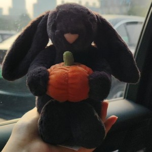 Peluche Personalizado con Logotipo, Calabazas de Halloween, Conejo, Murciélago, Oso, Diablo, Calabaza, Sandía, Pulpo, Muñeco de Peluche, Almohada - Product Image 6