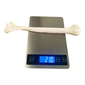 Skelet Model Opperarmbeen Hoge Kwaliteit Menselijke <span class=keywords><strong>Humerus</strong></span> Natuurlijke Grootte - Product Image 2