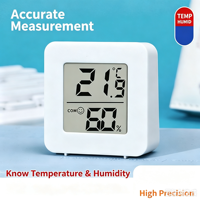 Room Thermometer Wall Mounted Wet Dry Display Measuring Instrument High Precision Electronic Indoor Temperature Humidity Meter
