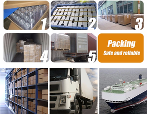 Запасные части двигателя ZANETOL, Комплект прокладок для переоборудования, нижний Комплект прокладок для JEEP CHRYSLER 5,7 DODGE 5,7 л CS26284-2 HS26423PT - Product Image 3