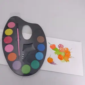 우수한 12 색 수채화 세트 수채화 페인트 수채화 세트 페인트 브러시