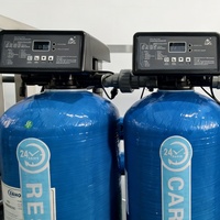 Système de purification d'eau à osmose inverse sûr et fiable 250 l/h 500 l/h 1000 l/h pour l'eau de forage