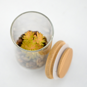 <span class=keywords><strong>Terrarium</strong></span> Vase en verre transparent miniature de 11cm avec fausses succulentes pour décor de table et faveurs de mariage en vrac - Product Image 2