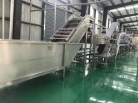 Fabrieksdirecte productielijn voor tomatenpuree, lijn voor de verwerking van tomatensaus, lijn voor het concentreren van ketchup voor export