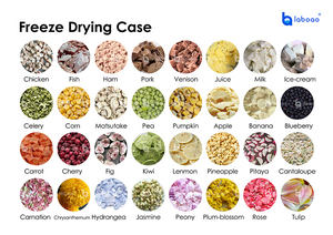 LABOAO Petite machine <span class=keywords><strong>de</strong></span> lyophilisation sous vide mini, équipement <span class=keywords><strong>de</strong></span> lyophilisation pour usage domestique - Product Image 2