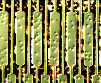 50X-500X Wafer Inspection Metallurgical Microscope with 8inch Super Large Stage